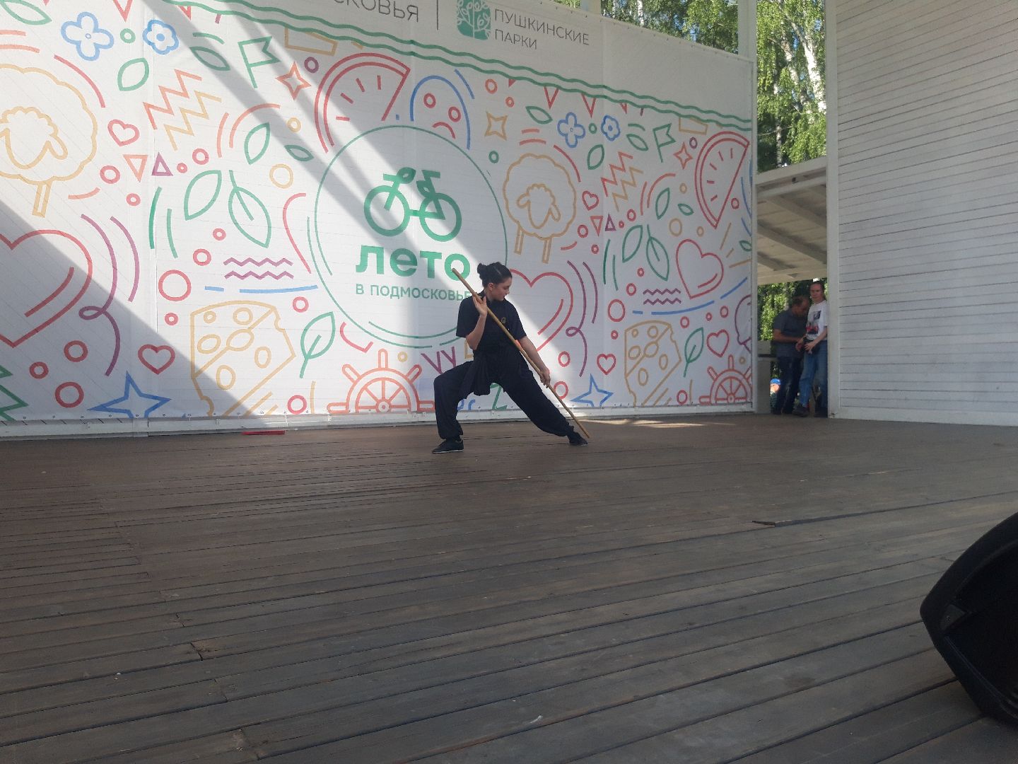 доброе дело, концерт,