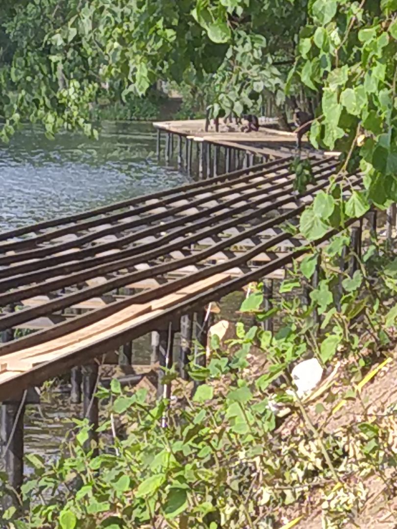 Долгопрудный, водная сцена, амфитеатр, набережная