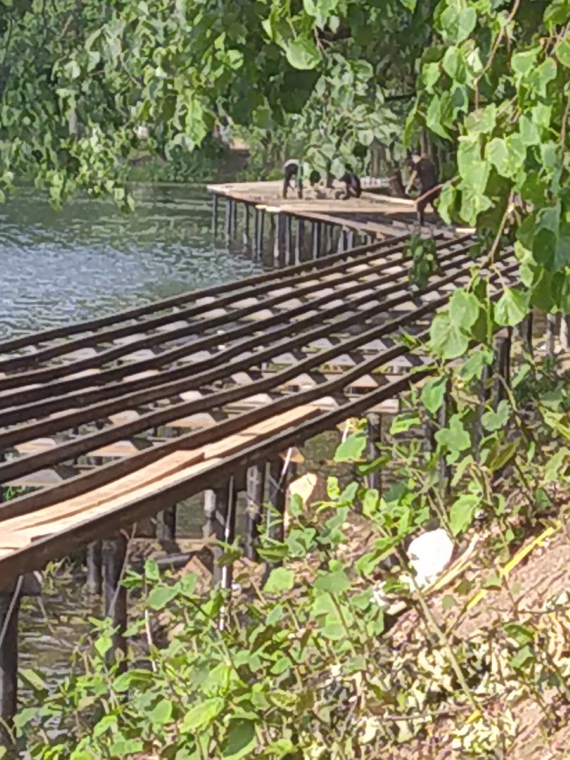 Долгопрудный, водная сцена, амфитеатр, набережная