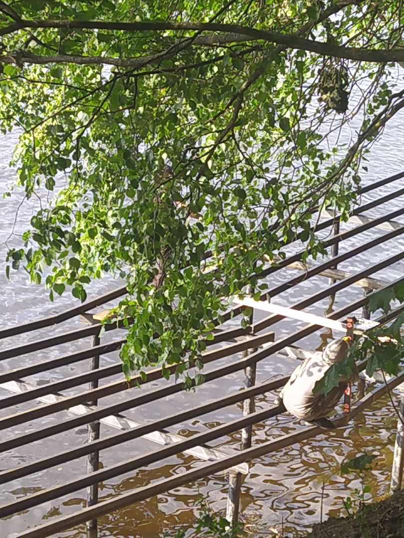 Долгопрудный, водная сцена, амфитеатр, набережная