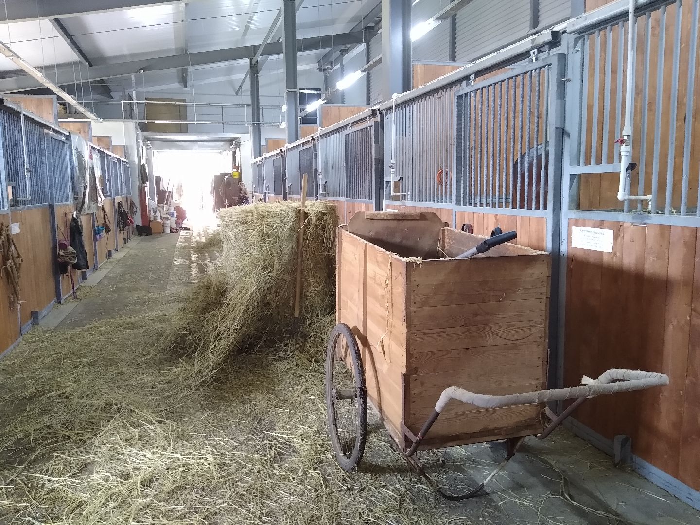 Раменское, спорт, новые конюшни на Раменском ипподроме