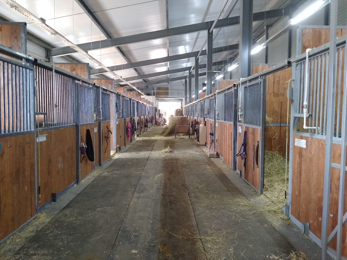 Раменское, спорт, новые конюшни на Раменском ипподроме