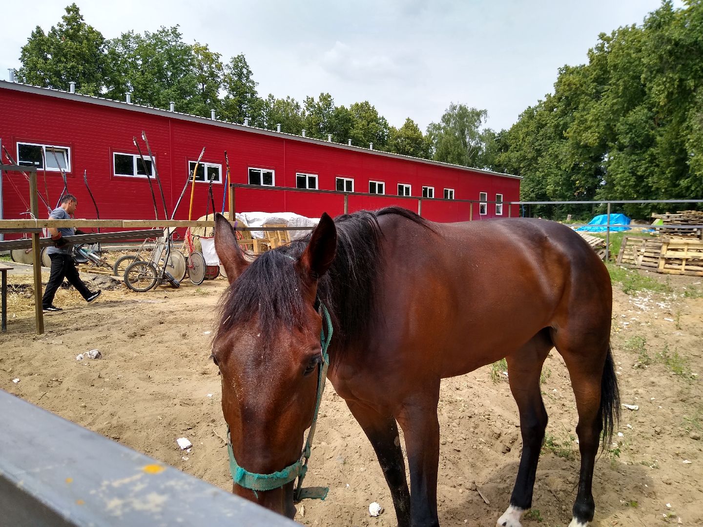 Раменское, спорт, новые конюшни на Раменском ипподроме