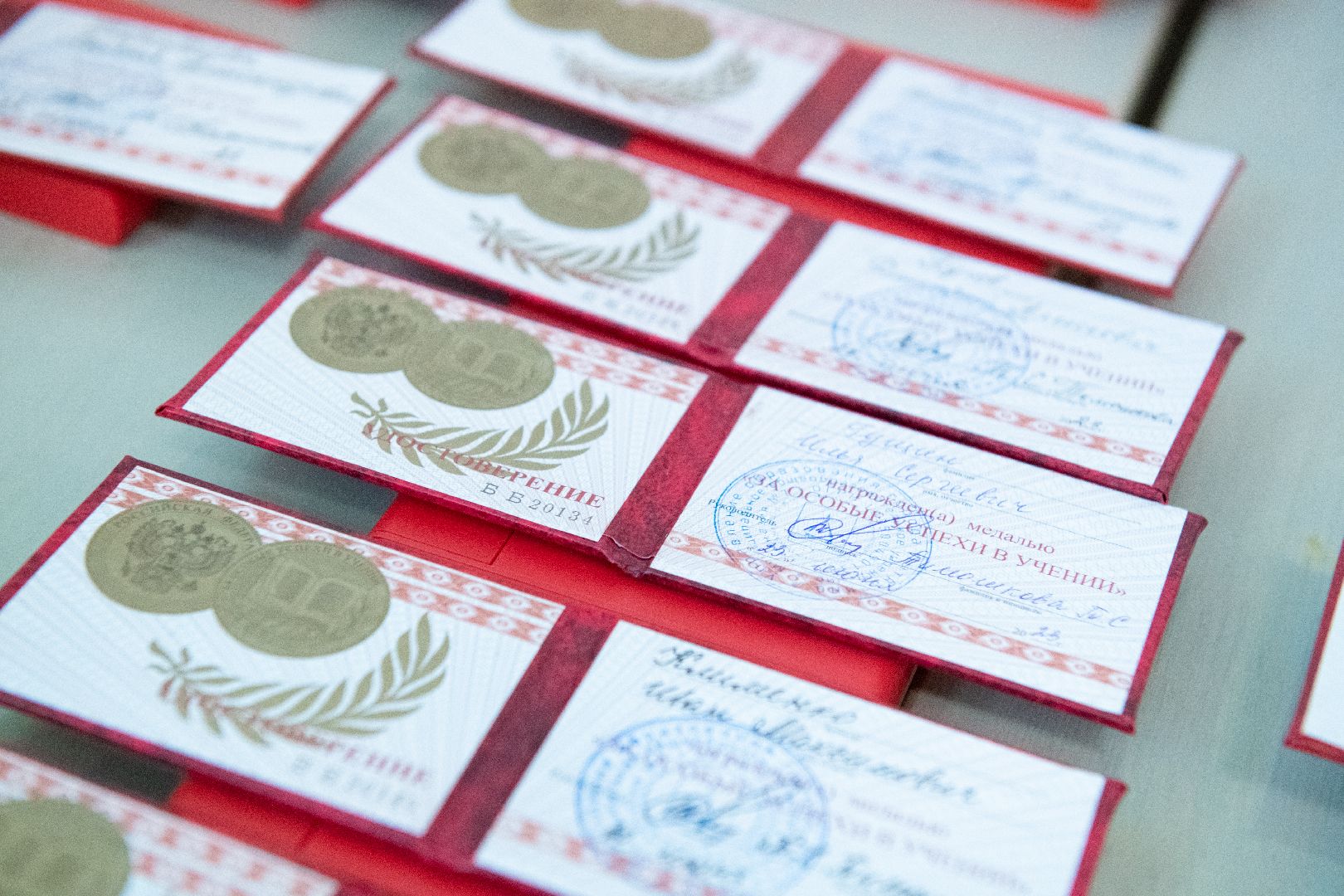 лыткарино, образование, выпускники, золотые медали,