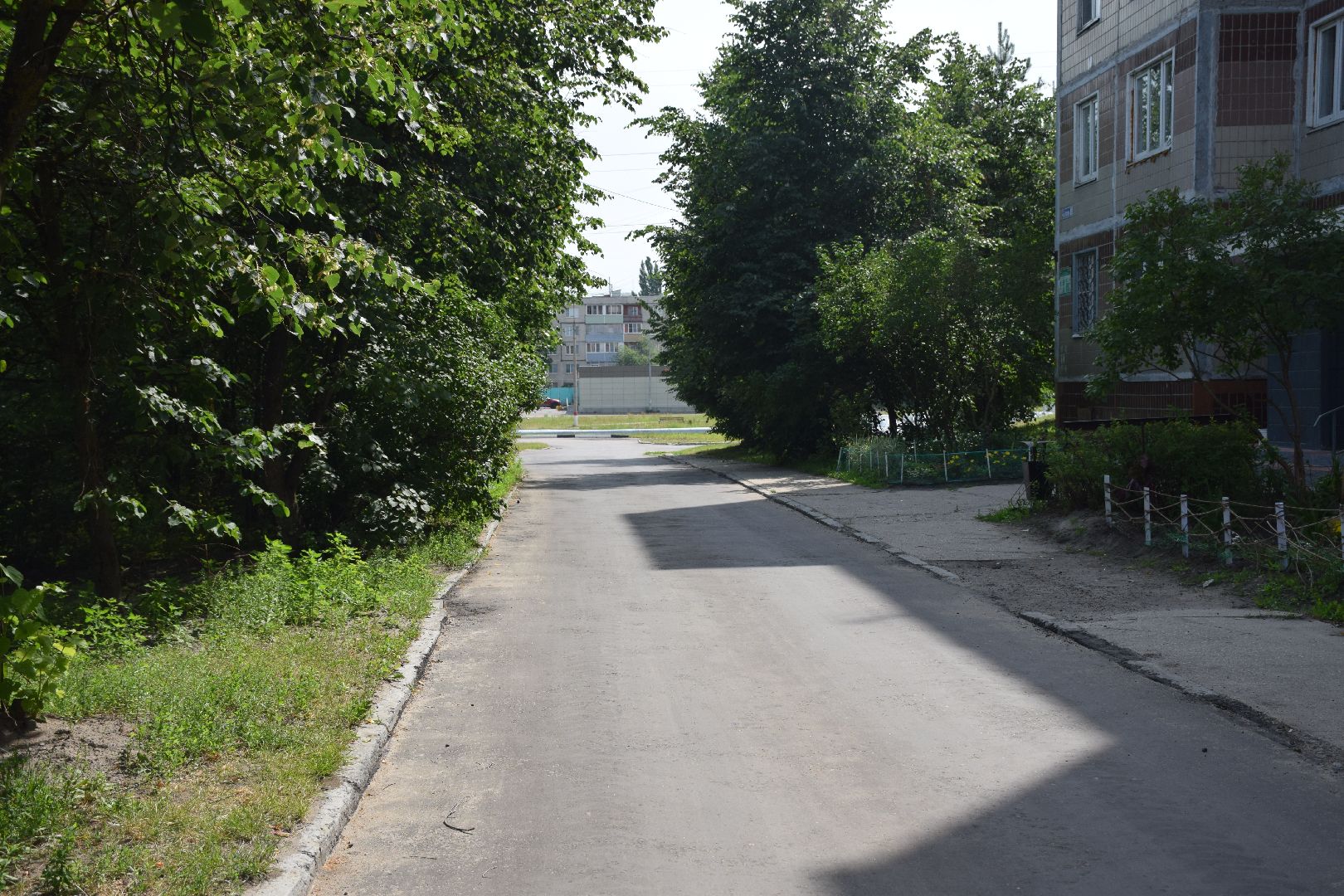 Электрогорск, городской округ Электрогорск, дворы, благоустройство, люди, асфальт