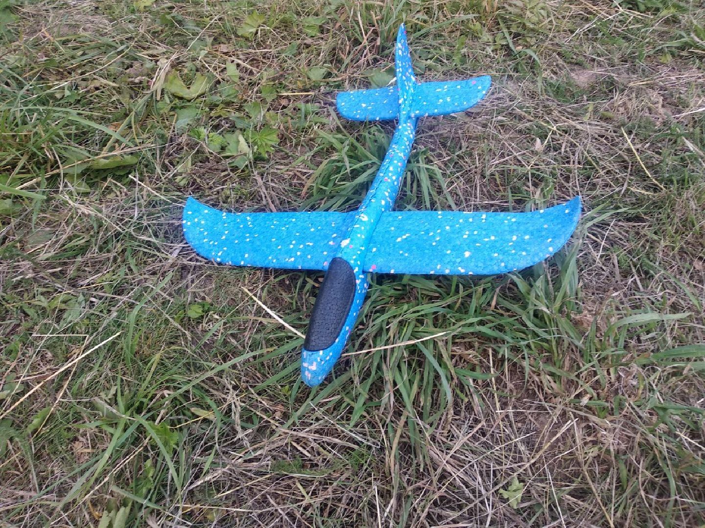 Дмитров, Слет многодетных семей, Семейное образование