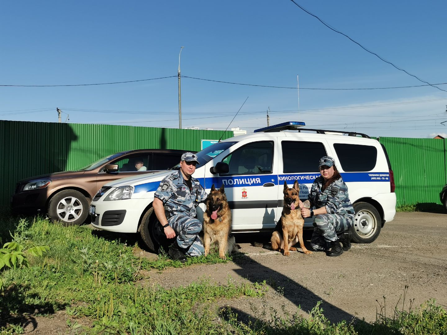 Подольск, полиция, собаки