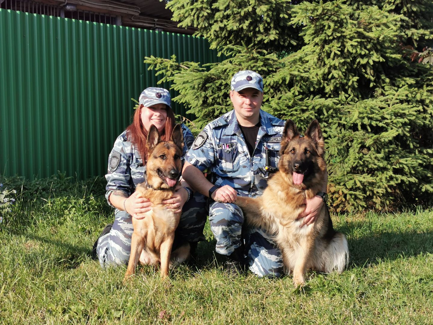 Подольск, полиция, собаки