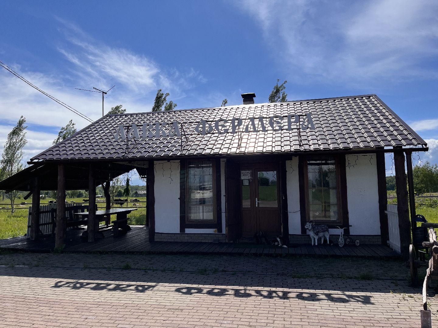 Шаховская, сельское хозяйство, коровы, молоко