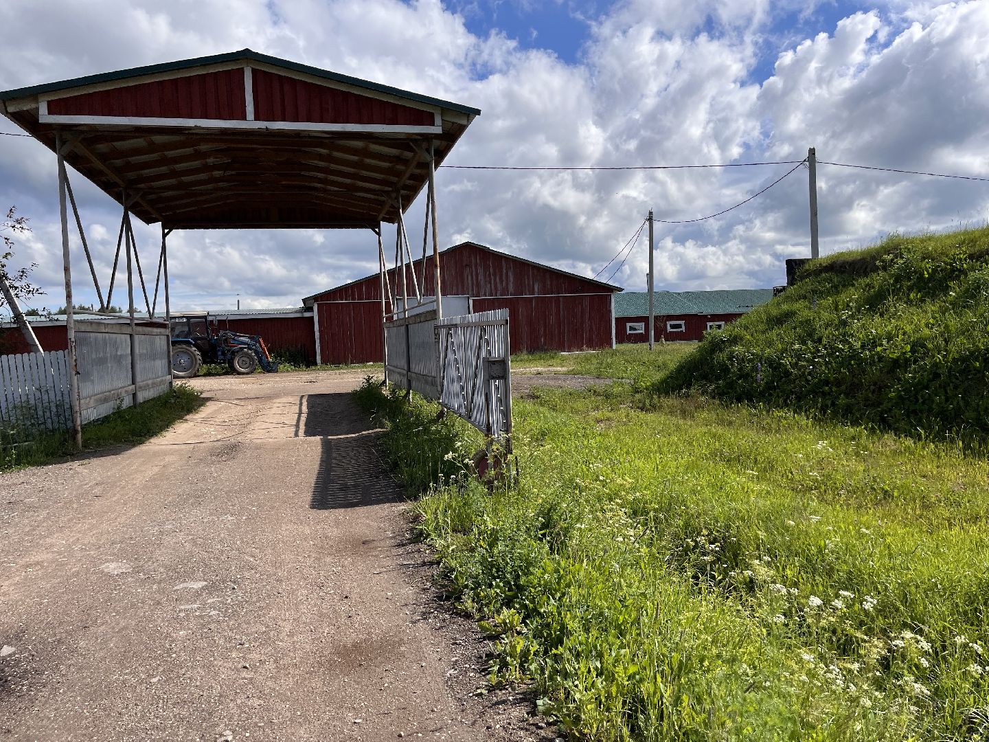 Шаховская, сельское хозяйство, коровы, молоко