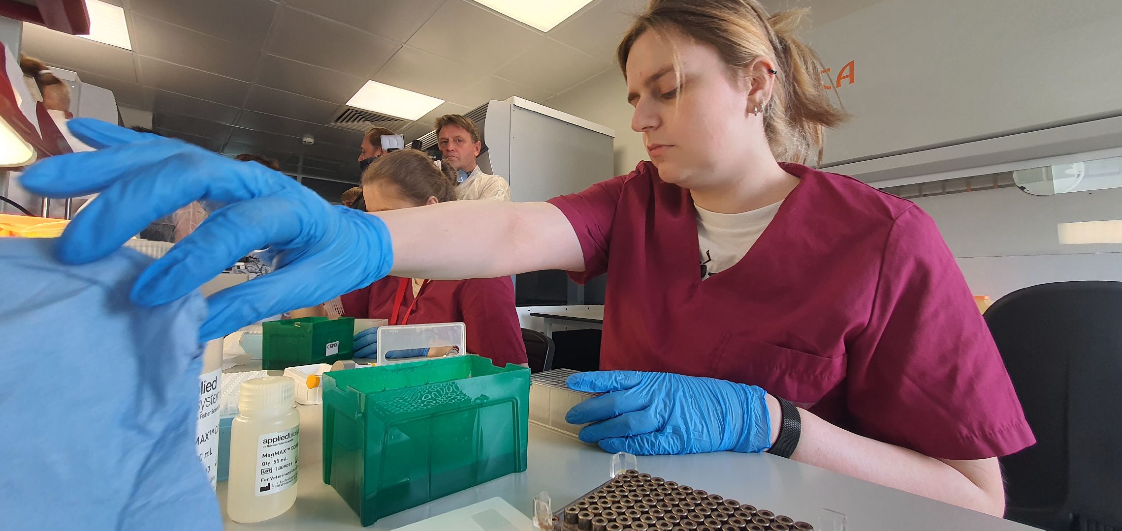 Мираторг, лаборатория, Домодедово