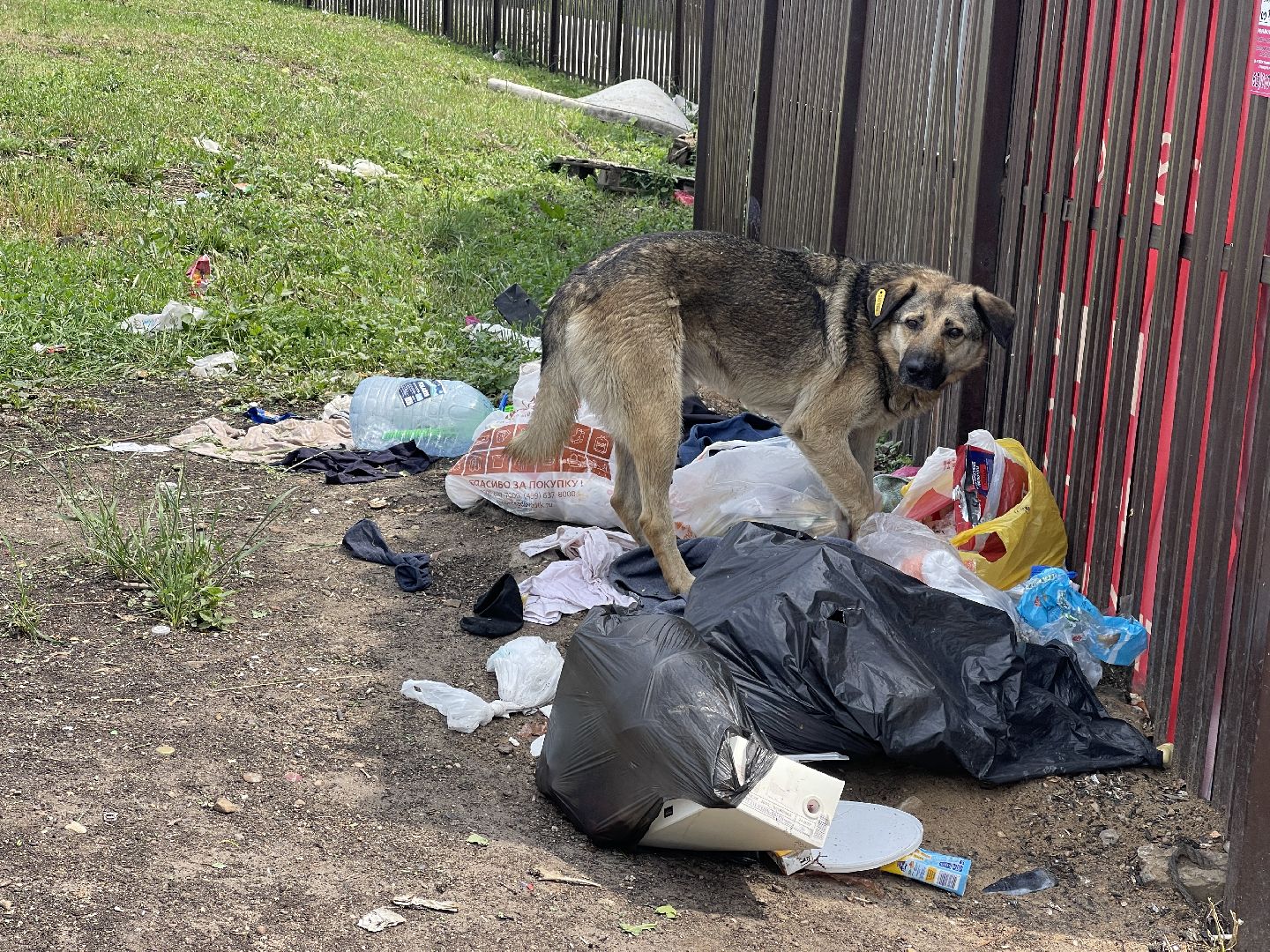 Одинцово, Немчиновка, РЖД, Рузский региональный оператор, мусор, станция, МЦД,