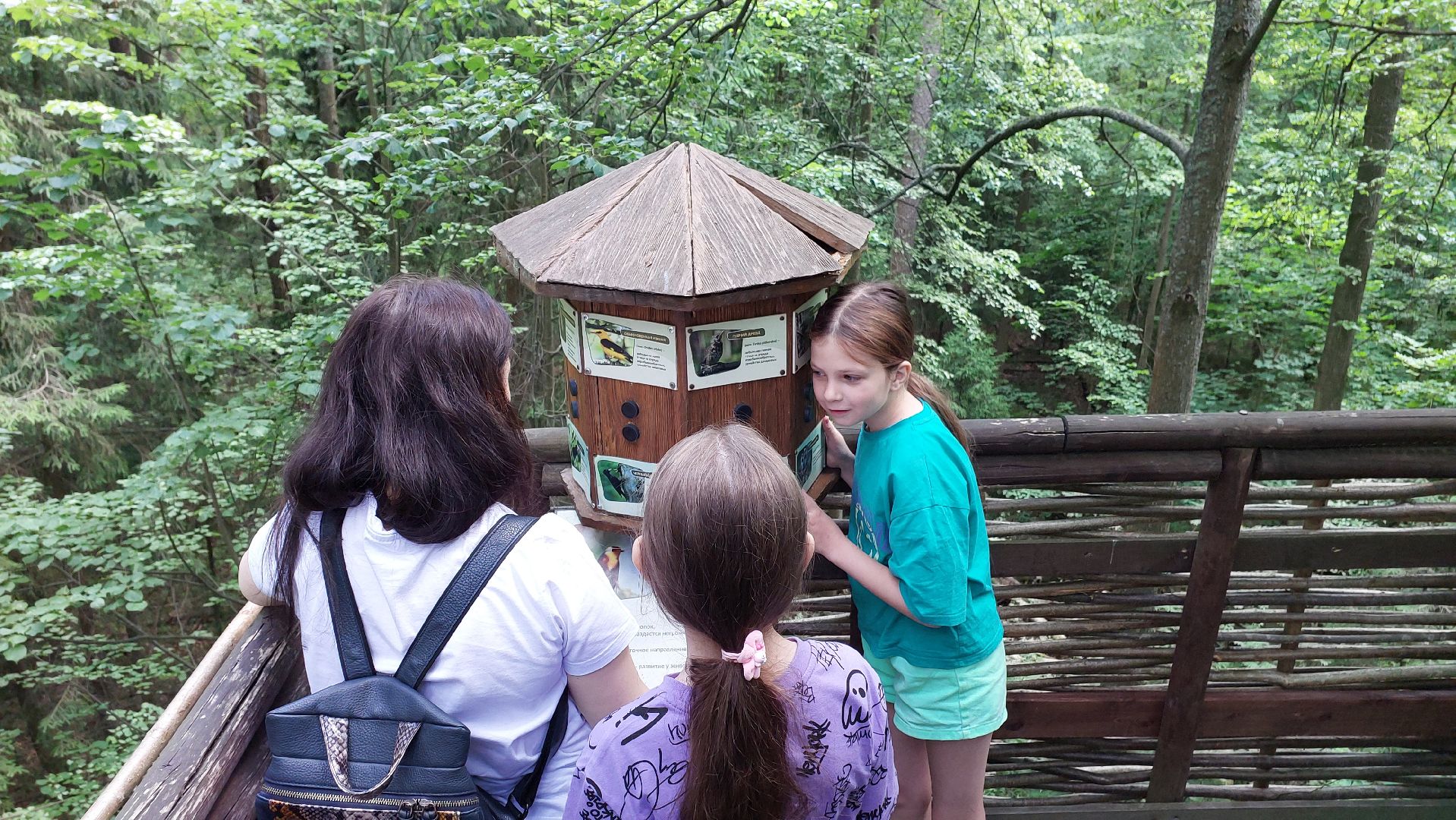 туризм, заповедник, экотропа, дерево, серпухов, каникулы, дети,