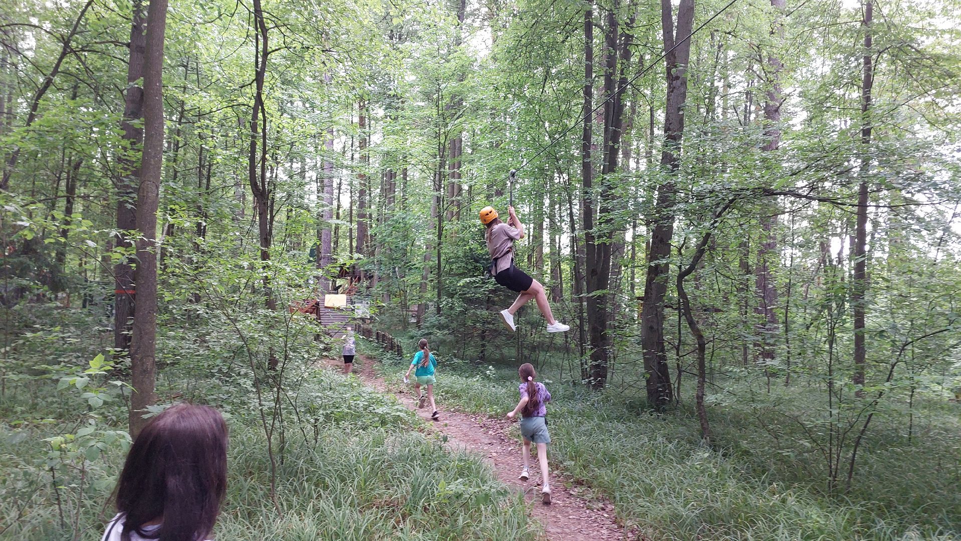 туризм, заповедник, экотропа, дерево, серпухов, каникулы, дети,