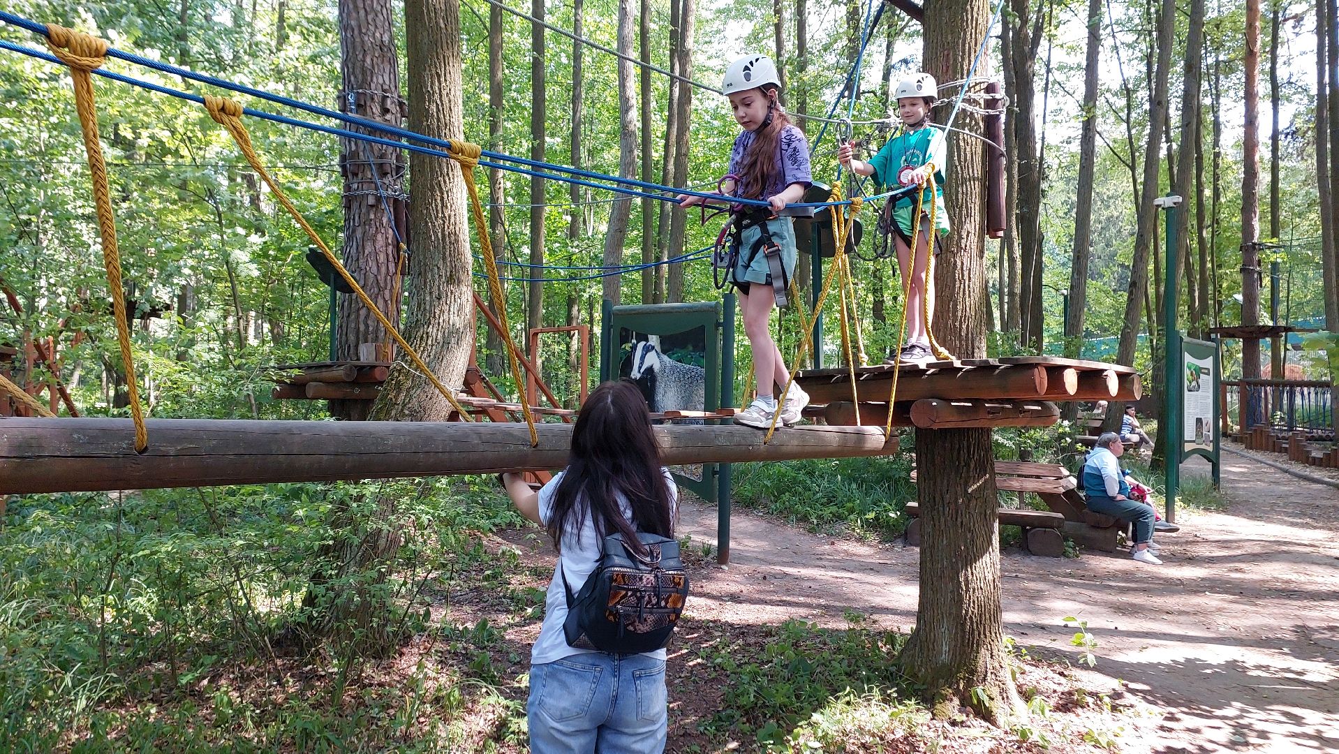 туризм, заповедник, экотропа, дерево, серпухов, каникулы, дети,