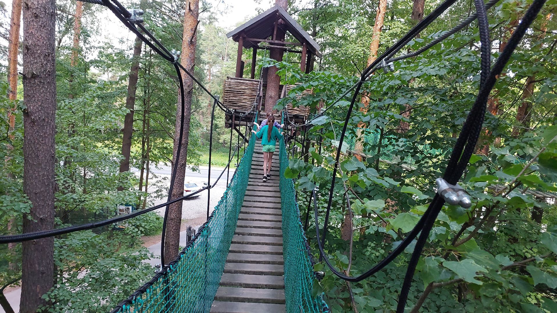 туризм, заповедник, экотропа, дерево, серпухов, каникулы, дети,