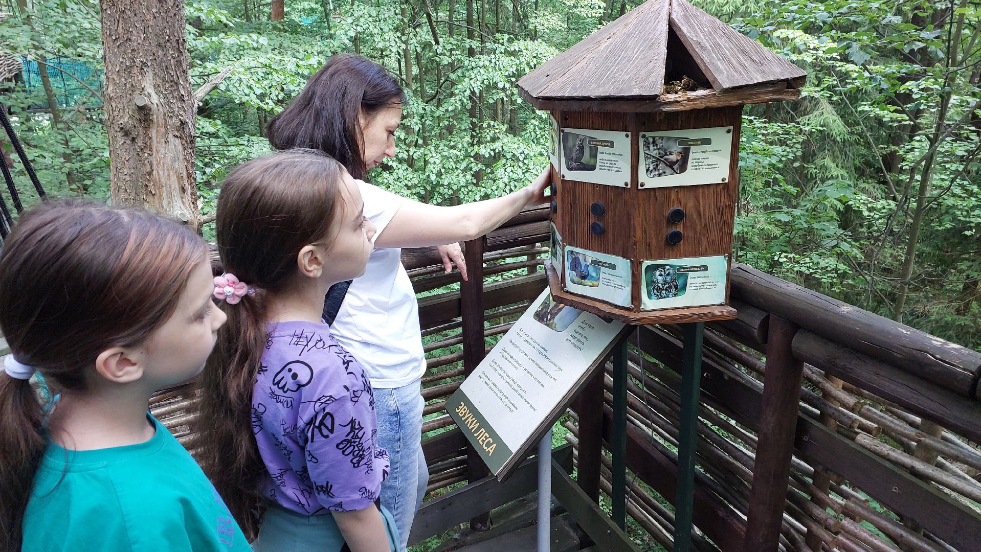 туризм, заповедник, экотропа, дерево, серпухов, каникулы, дети,