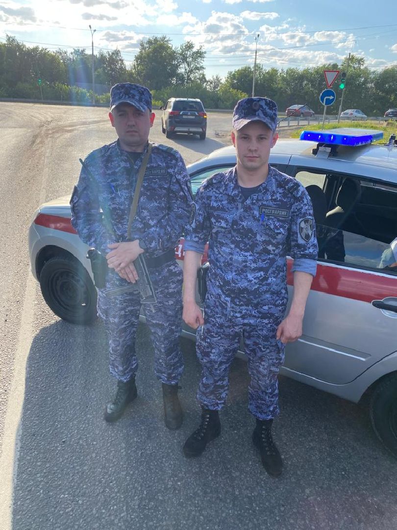 Росгвардия, Домодедово