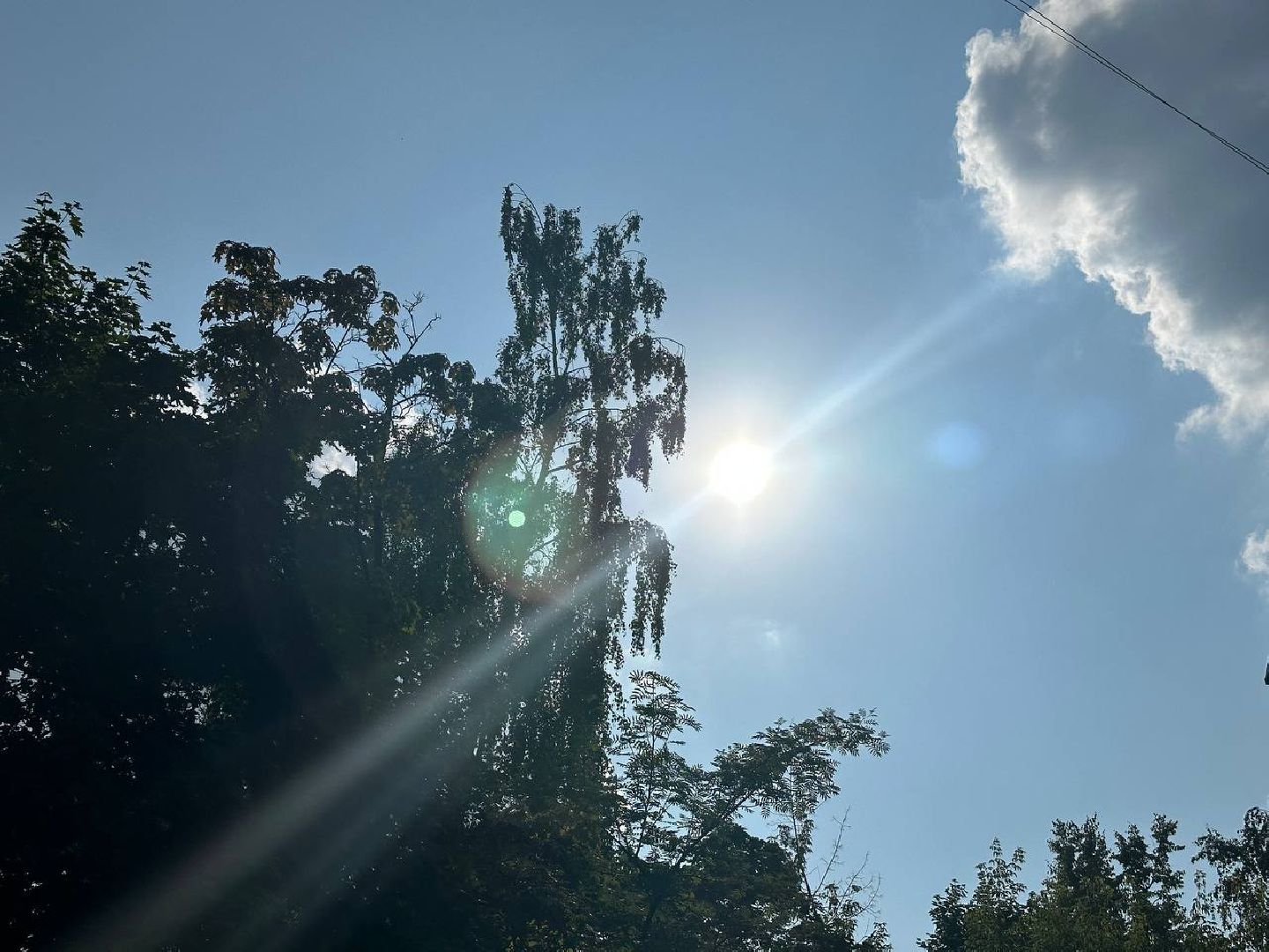 Реутов, конкурс, Лето в Подмосковье, фотографии