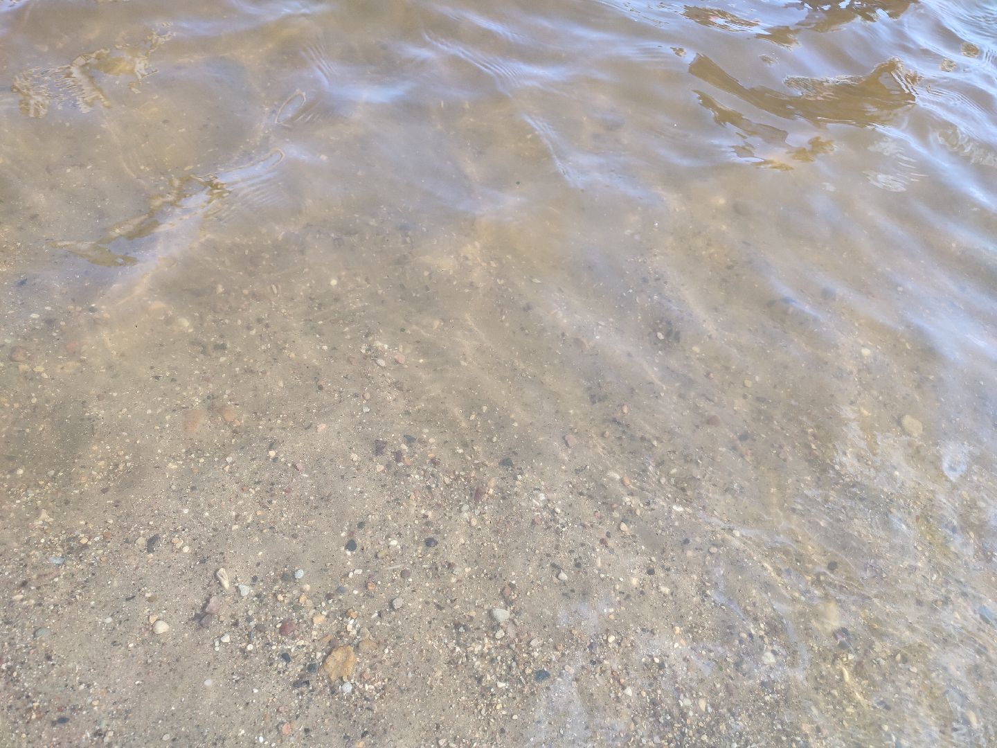 #жара, #талдомскийокруг, #пляж, #солнечныйберег, #оаис