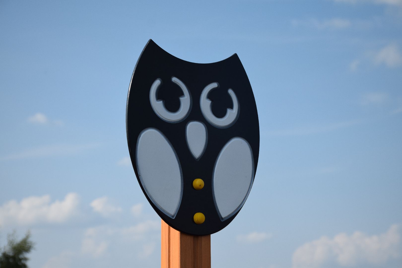 Павловский Посад, городской округ Павловский Посад, благоустройство, дети, люди, деревня, площадка, игры