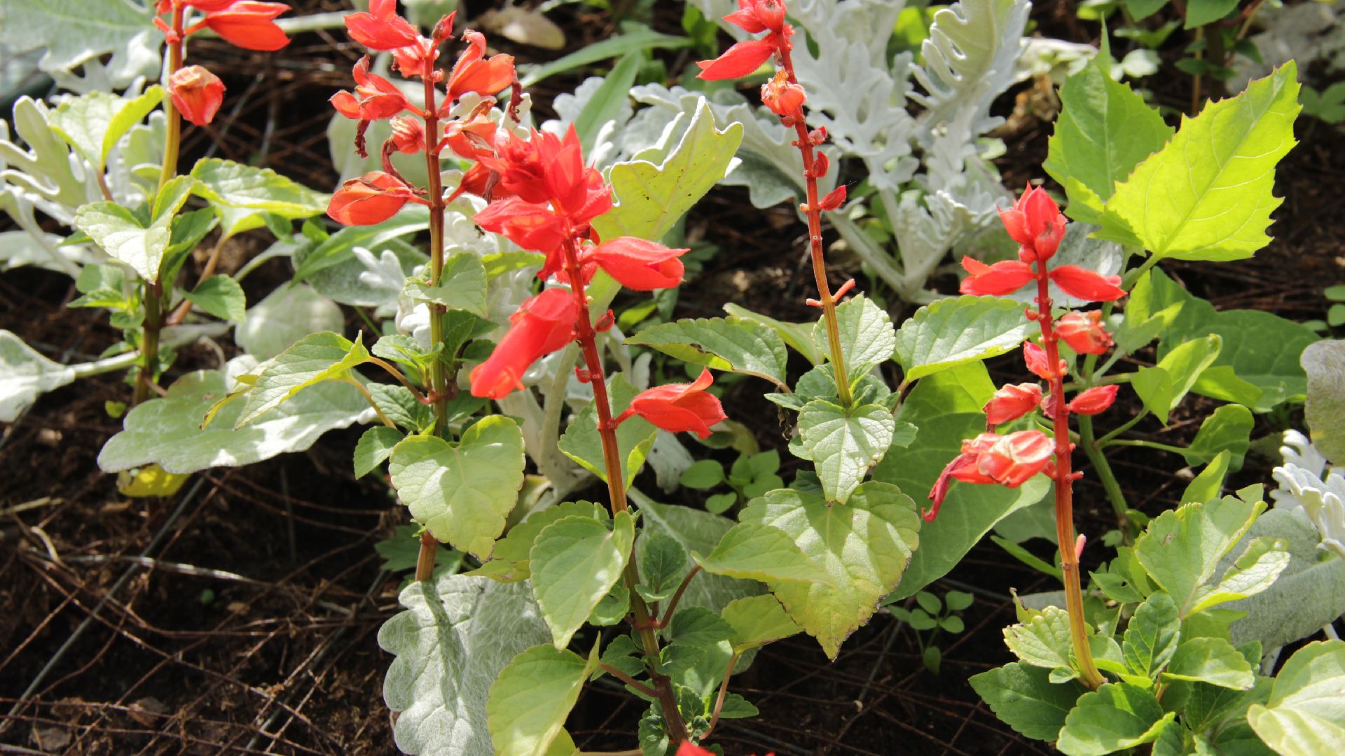 #Рошаль#парк#КрестовБрод#лето#селфи