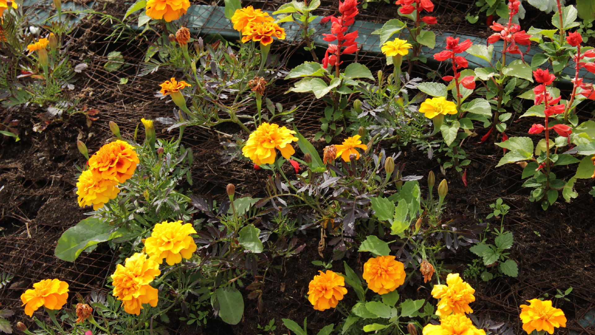 #Рошаль#парк#КрестовБрод#лето#селфи