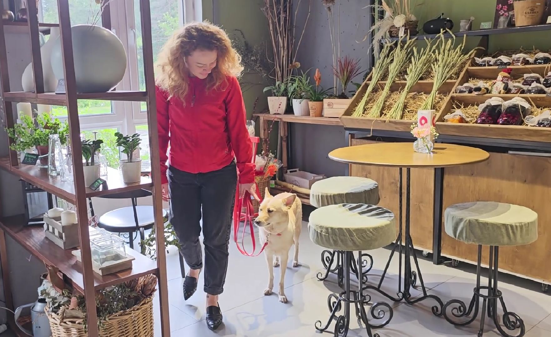 вакцинация от бешенства, выгул животных, Котельники