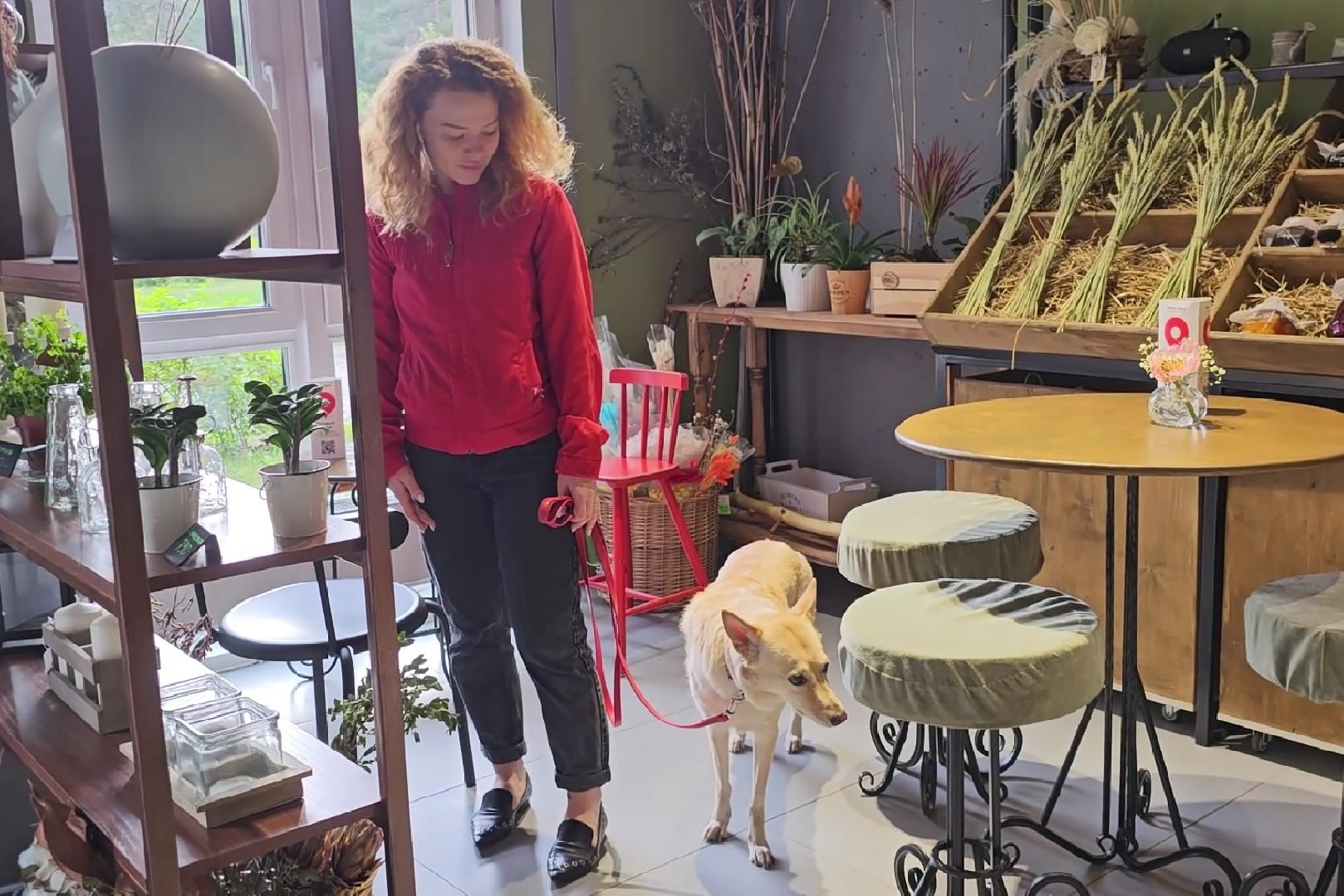 вакцинация от бешенства, выгул животных, Котельники