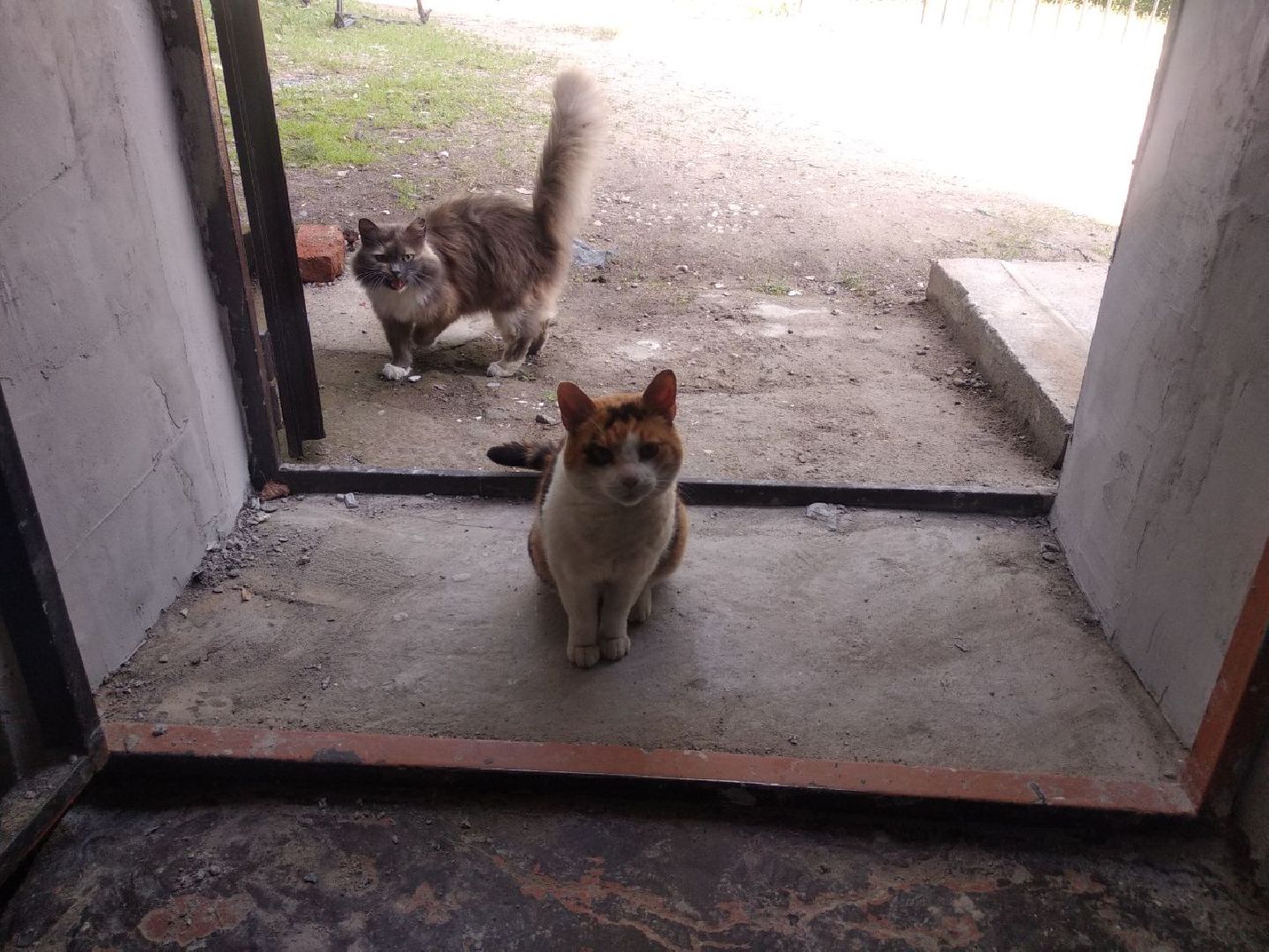 Дмитров, Яхромская школа интернат, Дети с ОВЗ