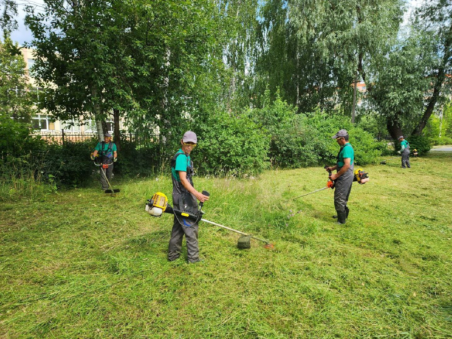Дмитров, Благоустройство, Покос