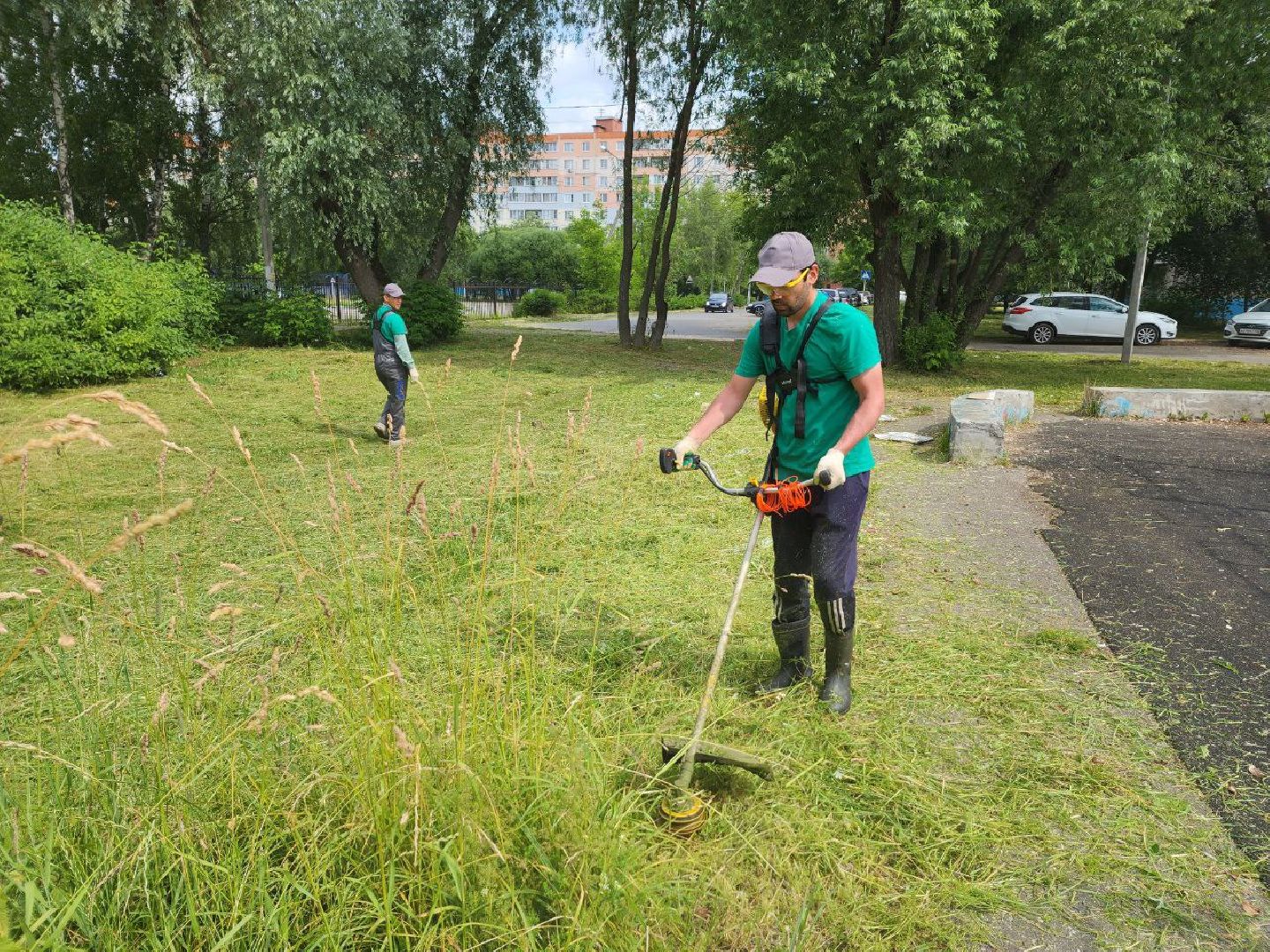 Дмитров, Благоустройство, Покос