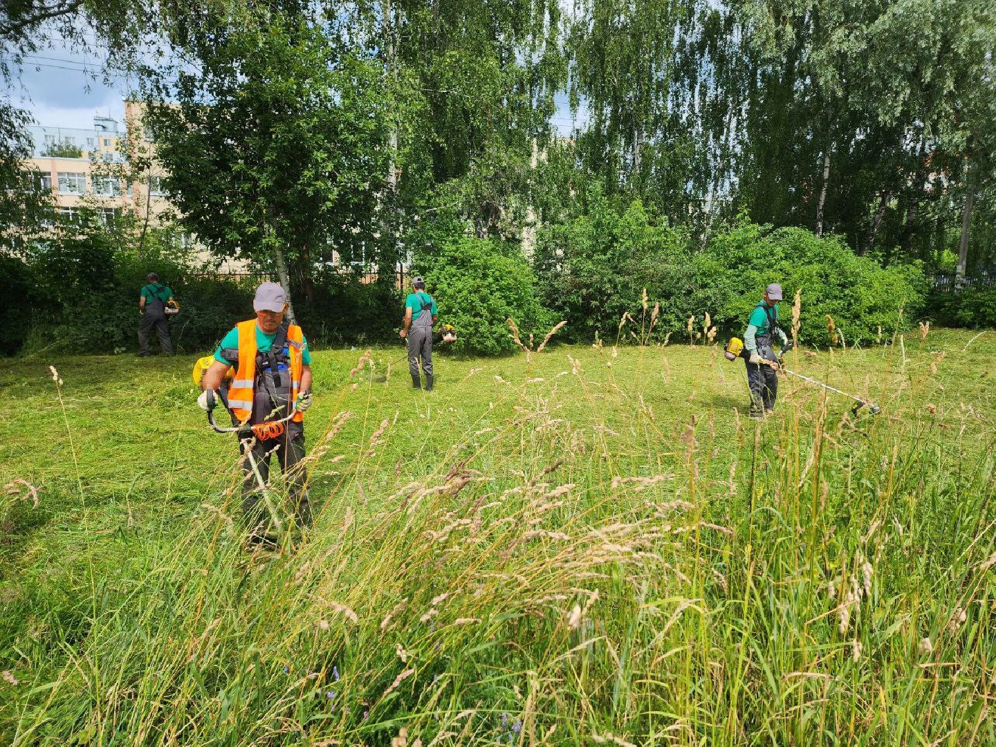 Дмитров, Благоустройство, Покос