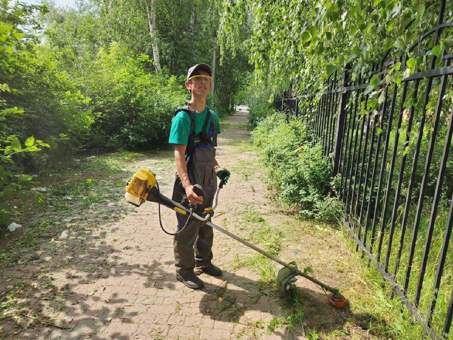 Дмитров, Благоустройство, Покос