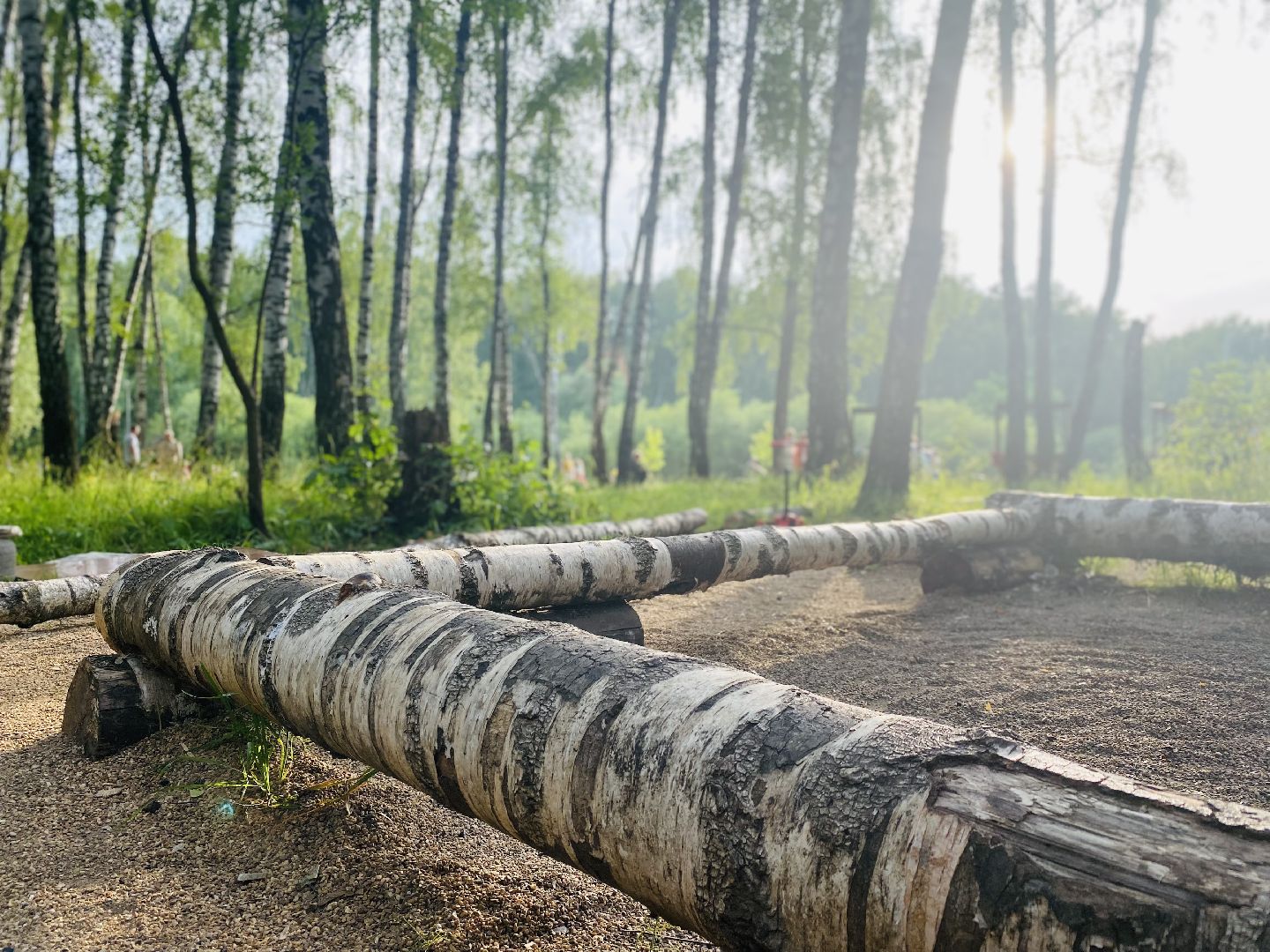 Домодедово, день Ивана Купалы, русский традиции, лесопарк, обряд, гадание, плетение венков