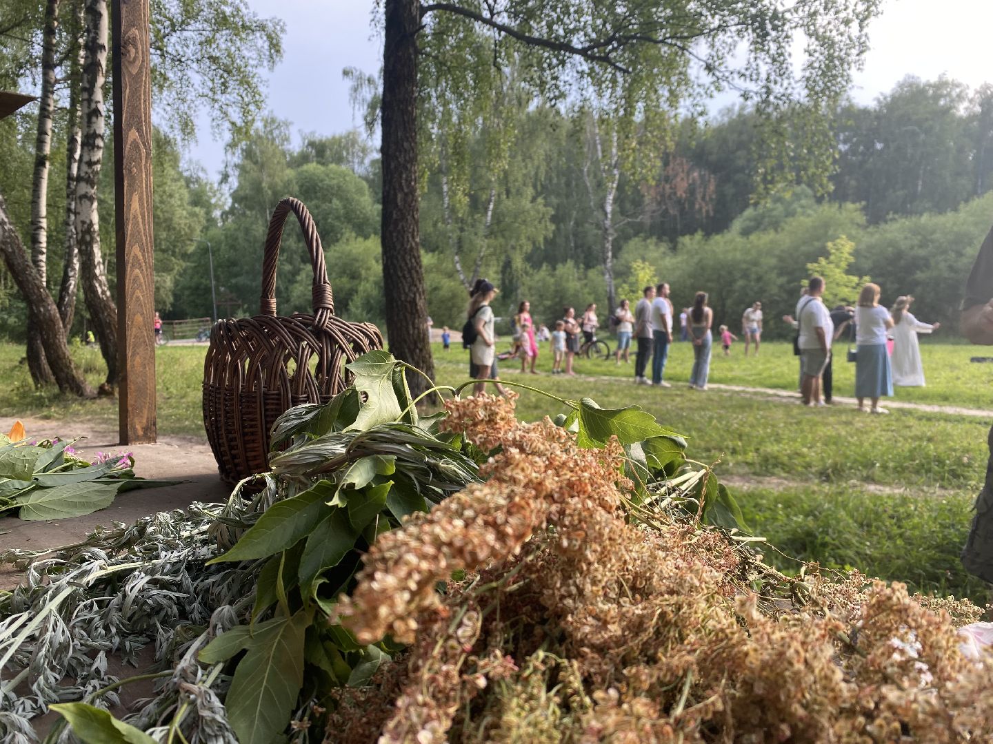 Домодедово, день Ивана Купалы, русский традиции, лесопарк, обряд, гадание, плетение венков