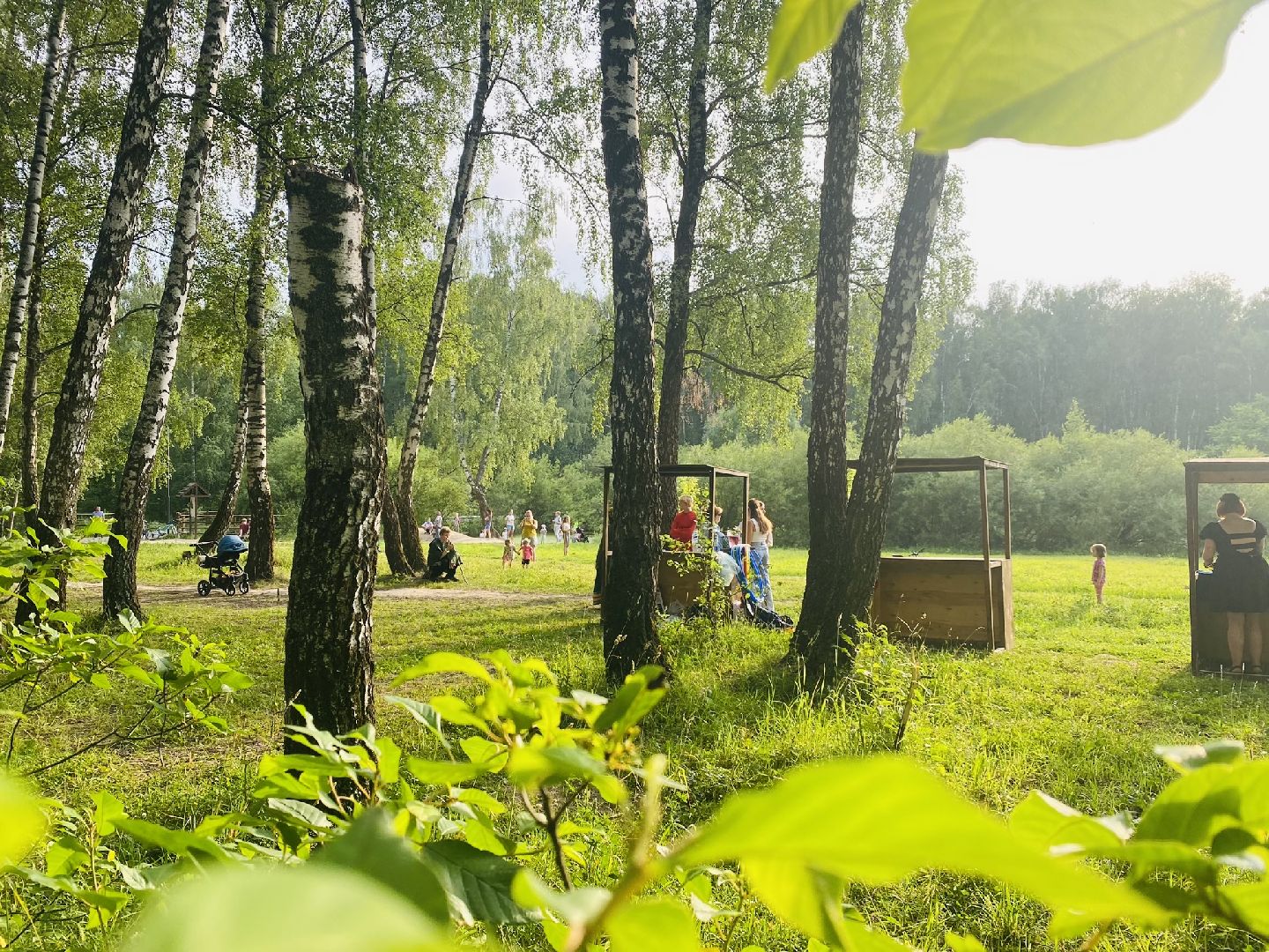 Домодедово, день Ивана Купалы, русский традиции, лесопарк, обряд, гадание, плетение венков
