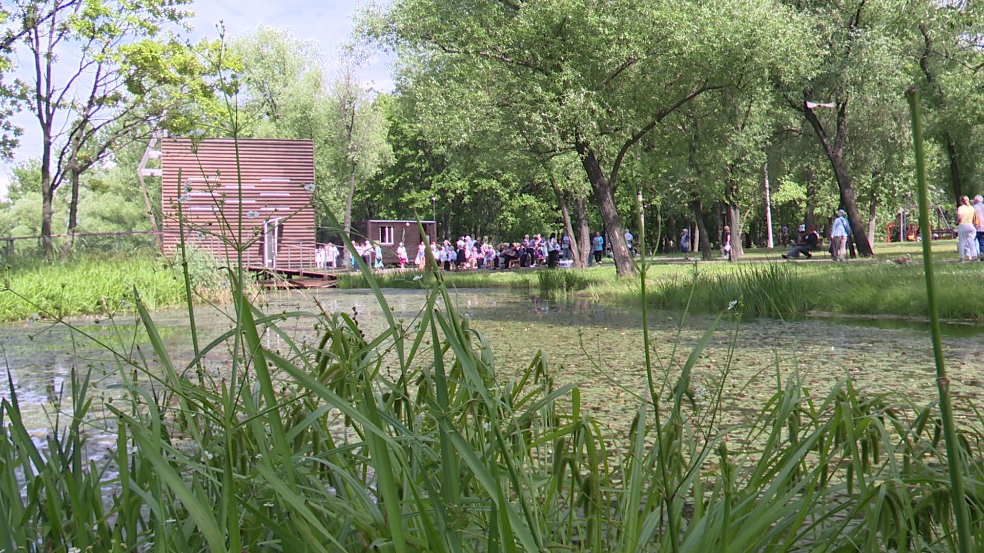 Реутов, праздник, День семьи, любви и верности, Фабричный пруд, бархатная осень, Активное долголетие