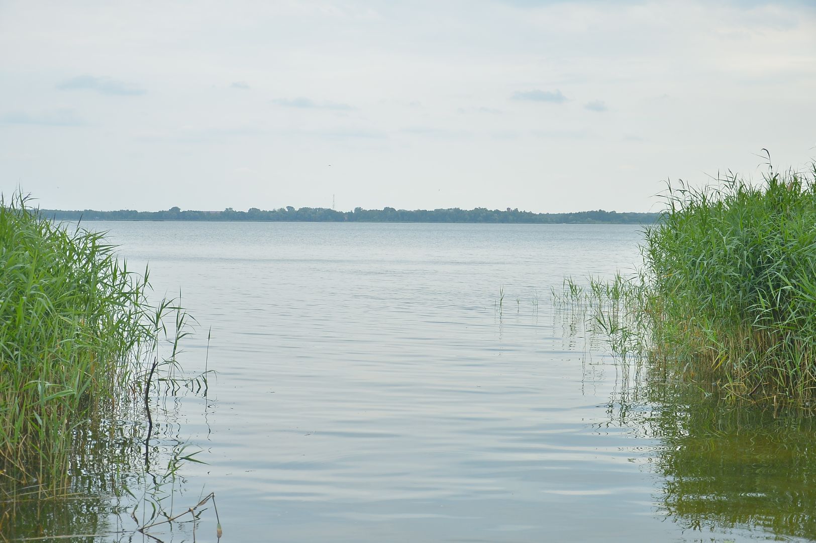 #Шатура#Альфа#подростки#воспитание