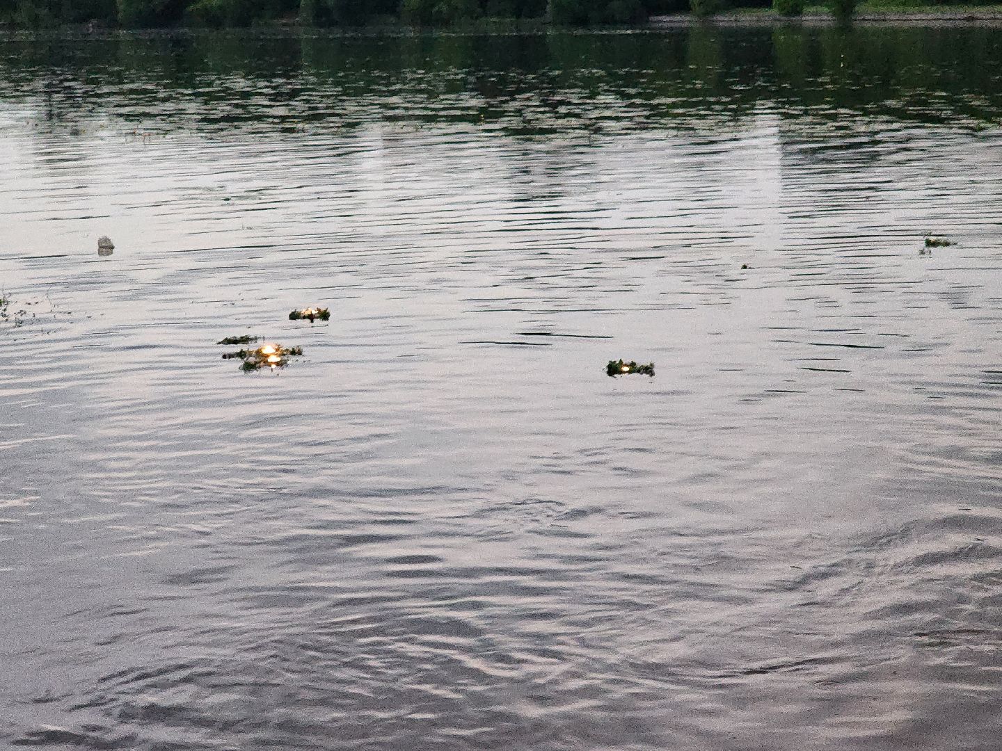 Долгопрудный, Ивана-Купала, славяне, праздник, волхв, гадания, парки