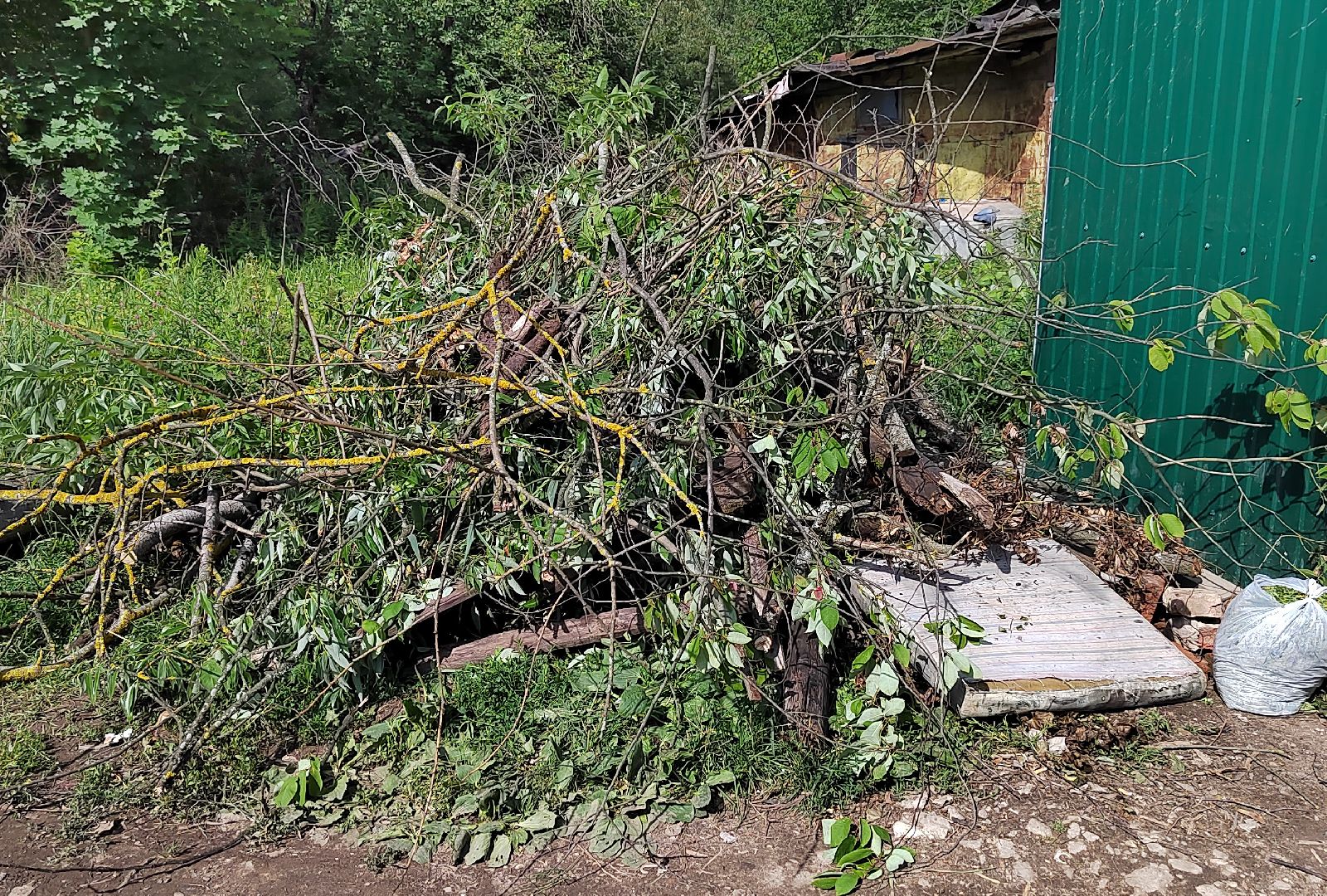 Благоустройство,водоемы,пруды,Красногорск