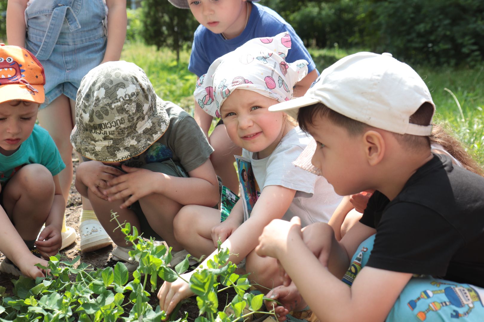 лыткарино, образование, детский сад,