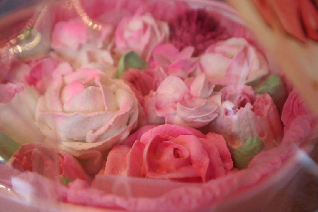 Пущино, весна, флористика, цветы