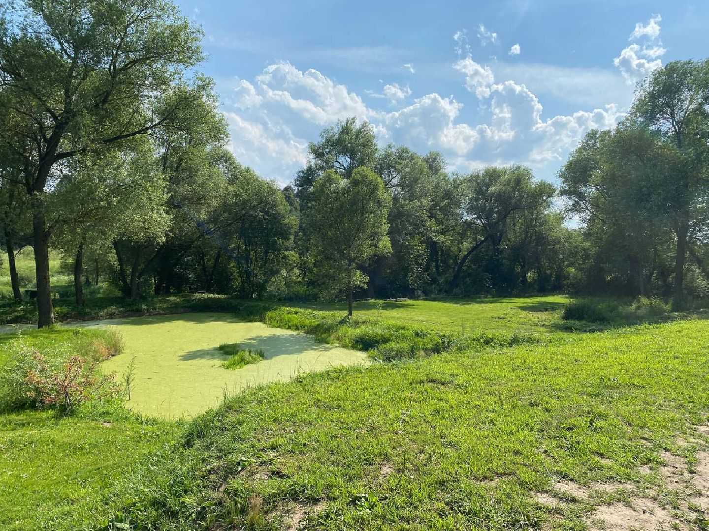 Чехов, гостиничный комплекс, река, отдых, ферма, пляж
