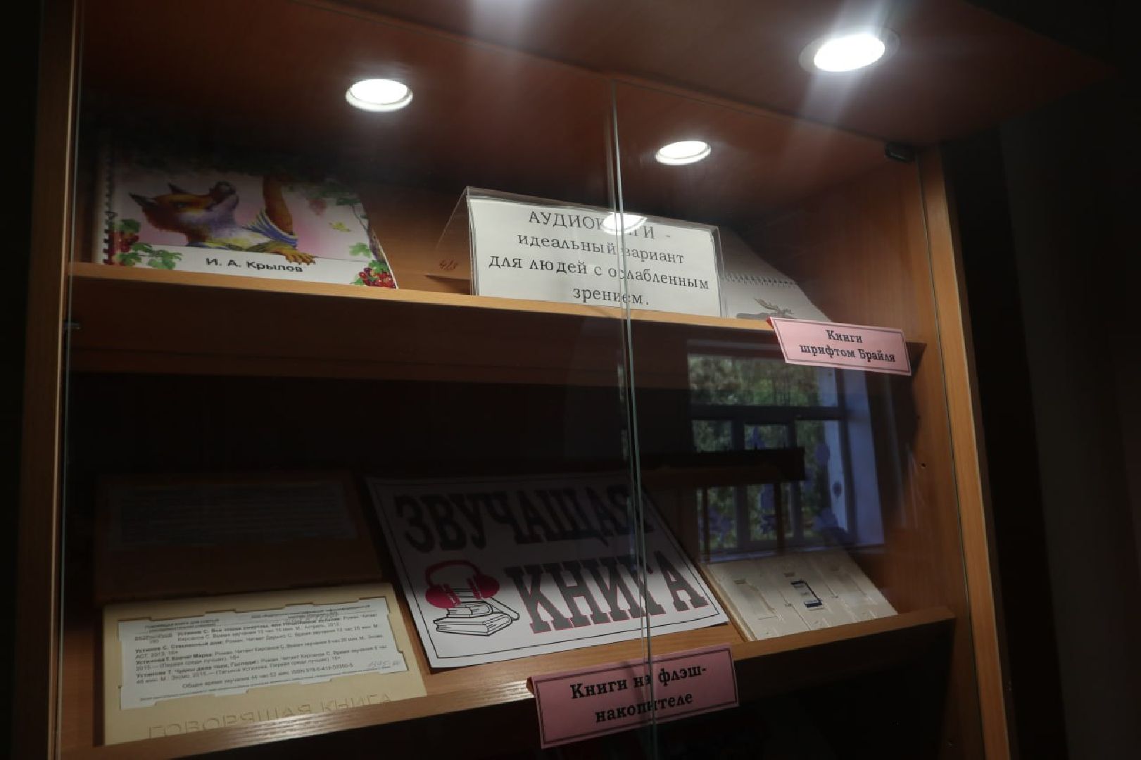 Пущино, доступная среда