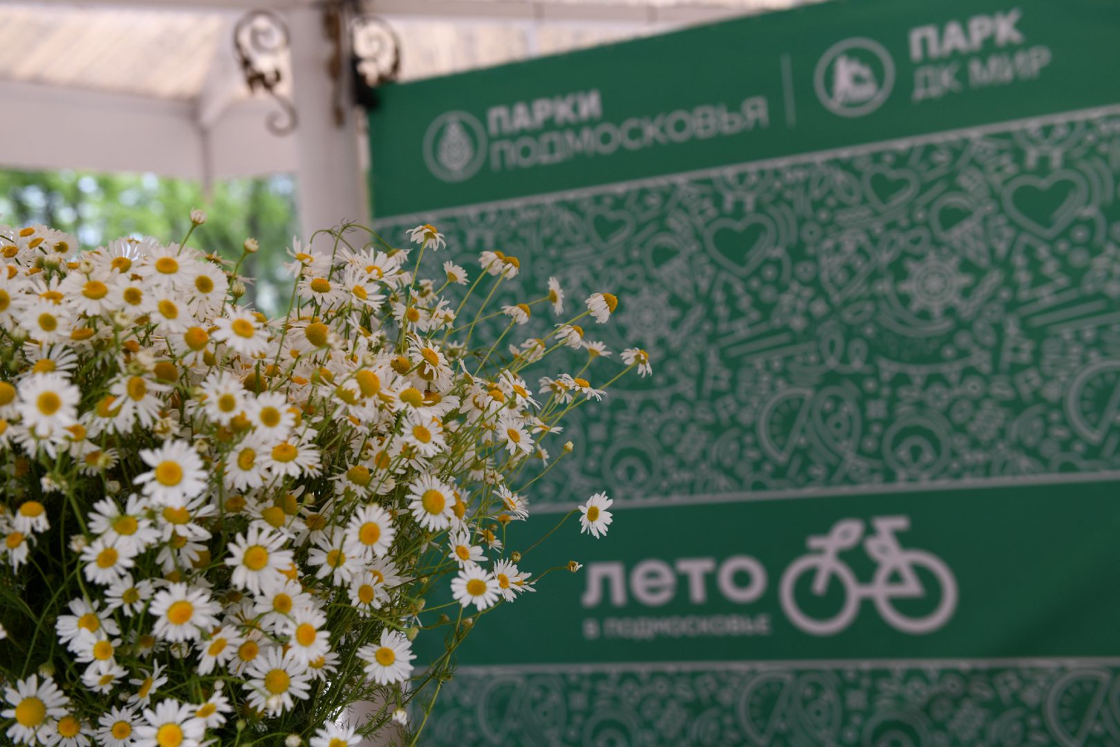 лыткарино, общество, день семьи,