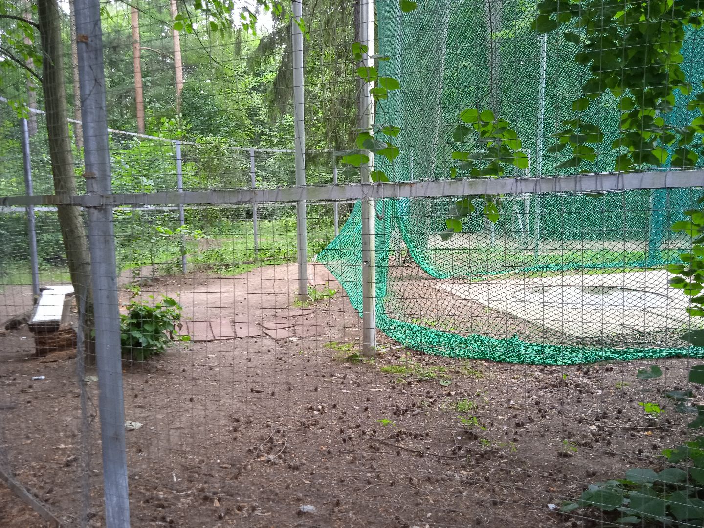 тела, трупы, парк, следственный, комитет