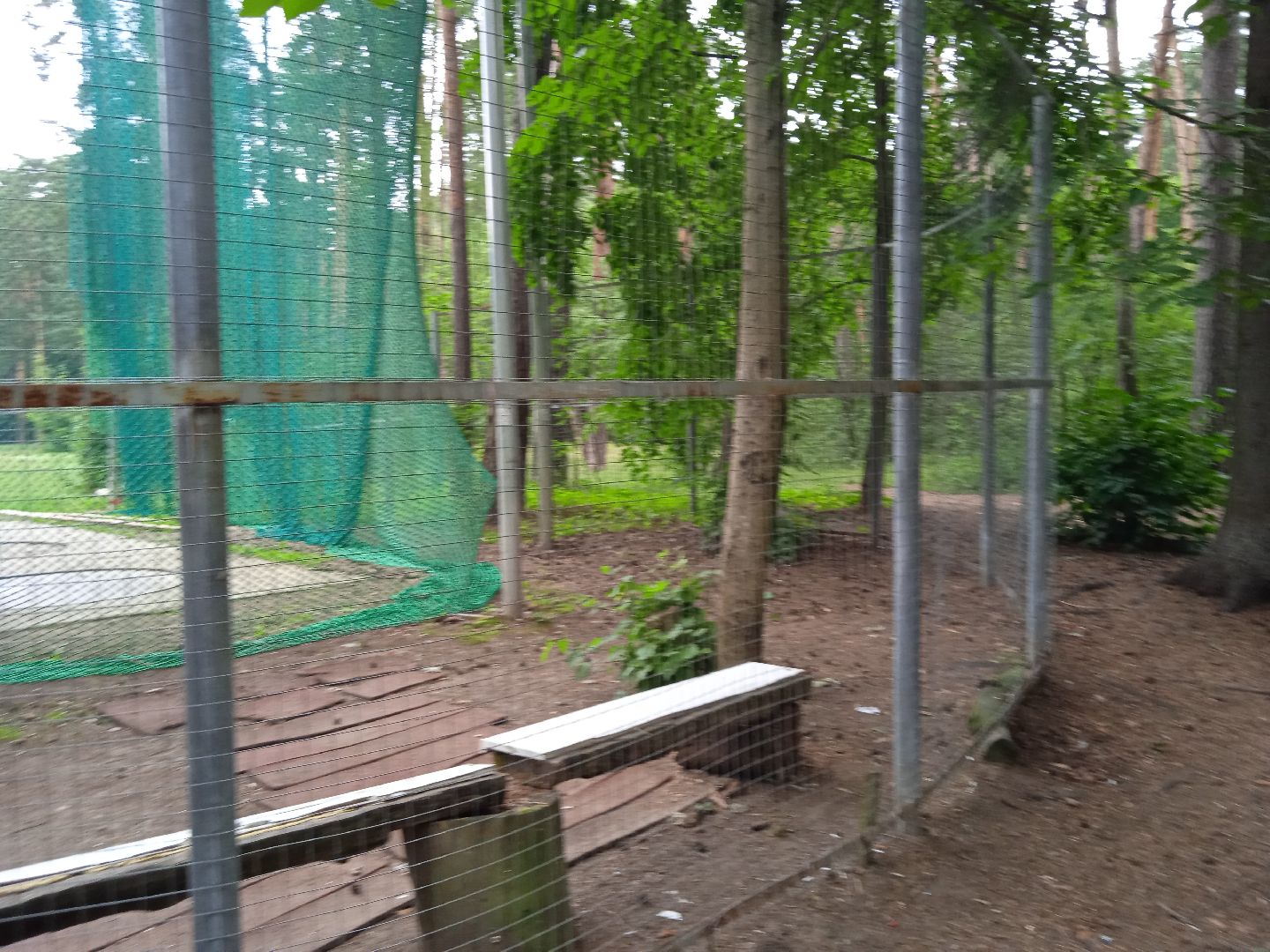 тела, трупы, парк, следственный, комитет