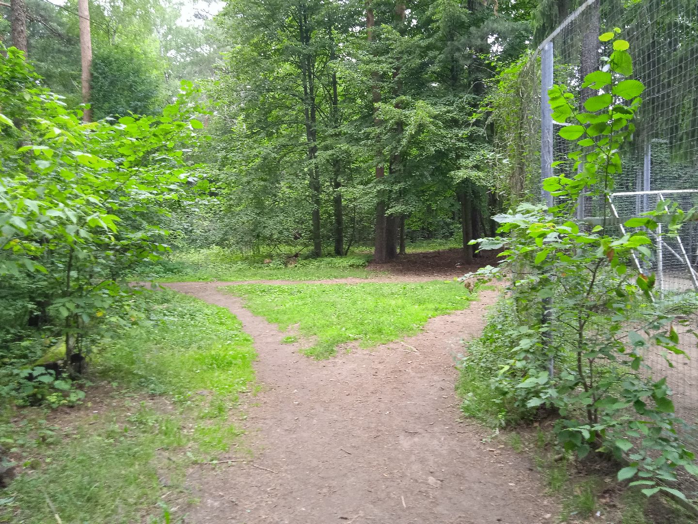 тела, трупы, парк, следственный, комитет