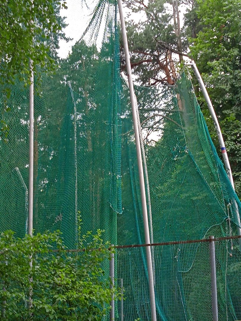 тела, трупы, парк, следственный, комитет